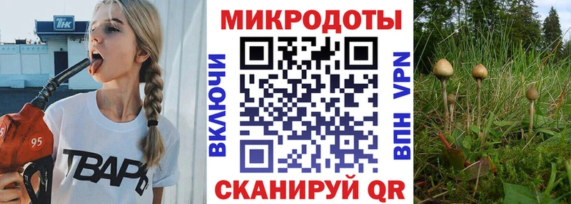закладка mega ссылка Псилоцибиновые грибы Psilocybe Верхняя Салда